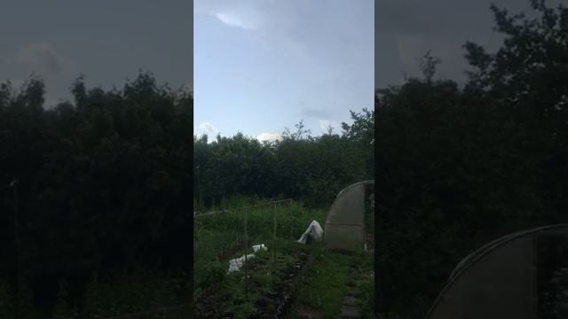 Архивное видео с проекта Суворова. Как он выглядел до нас. Неожиданный град. 20062020.