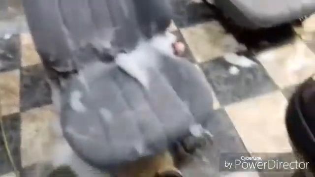 Химчистка Mercedes-Benz E-Class смотреть онлайн