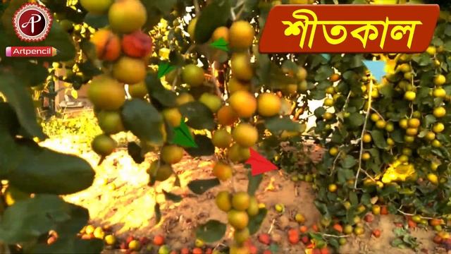 ♫ 6 Seasons name | Bangla 6th Seasons Name | Six Seasons Name in Bangla | 6 Ritor | বাংলা ষড়ঋতুর না смотреть онлайн