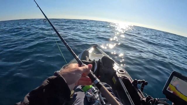 Buscando calamares y un buen pez al vivo. смотреть онлайн