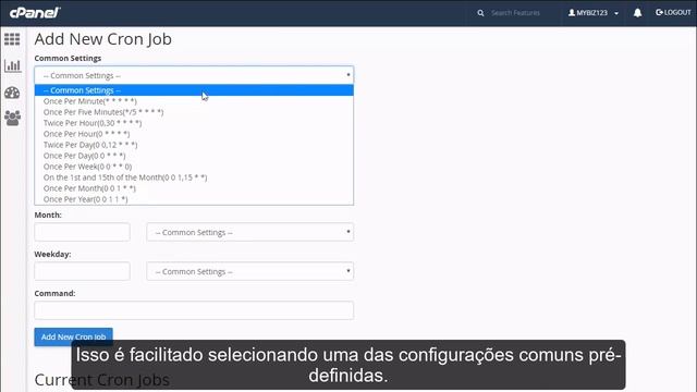 Como configurar um cron job no cPanel Reselhost смотреть онлайн