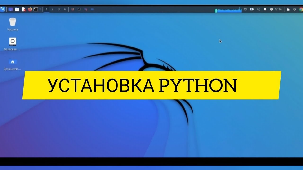 Как установить Python на Kali Linux из исходного кода смотреть онлайн