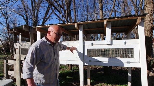Quail Coop Requirments смотреть онлайн