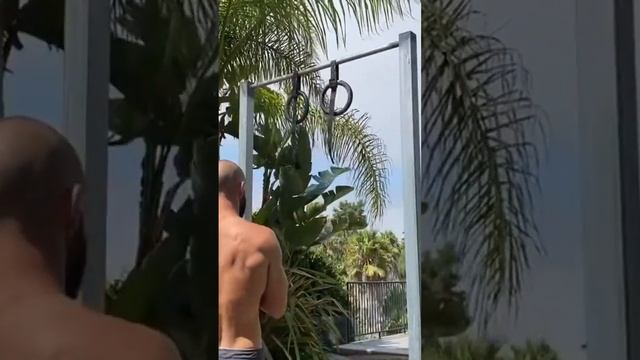 The Truth About HIT #highvolumecalisthenics #calisthenics #homeworkout #bodyweightworkout смотреть онлайн