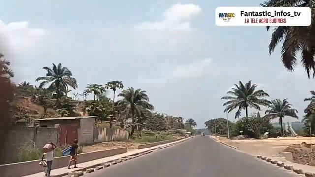 VUE SUR CECOMAF LA ROUTE DE DESERTE AGRICOLE смотреть онлайн