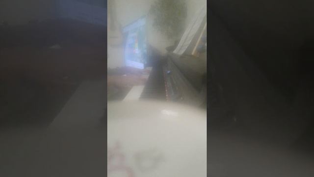 Бурре на пианино смотреть онлайн