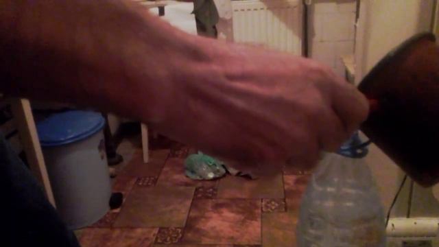 How I prepare for multiply ficus spp. смотреть онлайн