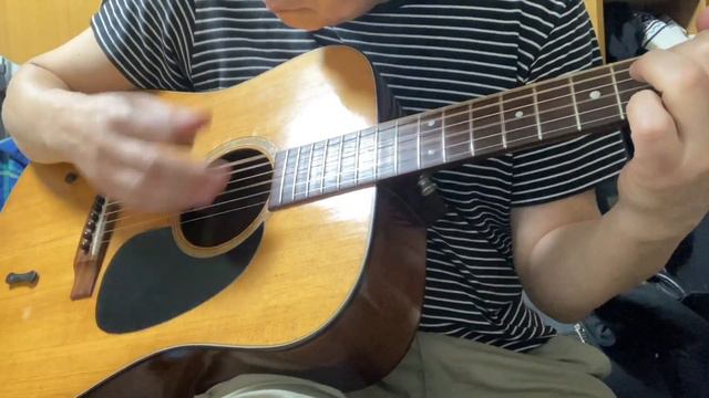 Hey Jude | The Beatles | Solo Guitar Arrangement | Martin D-18,1970 смотреть онлайн