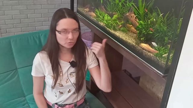 Хотела ответить на вопросы, а попались предъявы