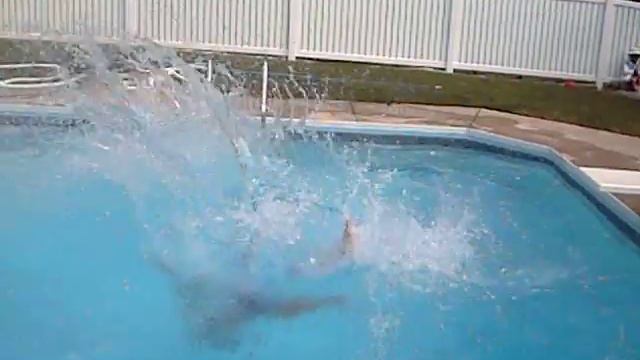 Pool of Death смотреть онлайн