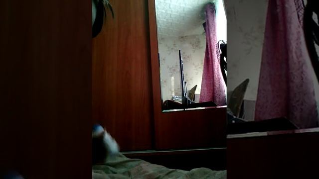 Полоска на лобовое стекло смотреть онлайн