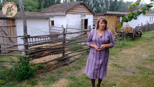 Ветряная мельница. Купинский район. Проект. смотреть онлайн