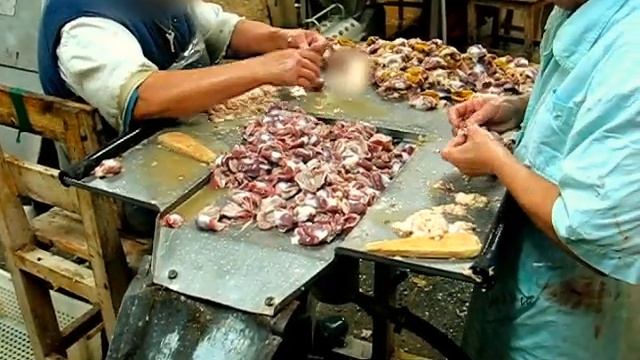 Машина для снятия кутикулы от РостПищМаш смотреть онлайн