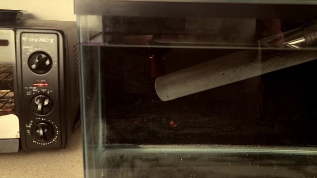 Python VS Hygger: Which One is Better? смотреть онлайн