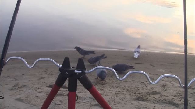 Утро. Рица. Рыбалка. Охота. Немного подурачились 11 день ноября 22года Запорожье смотреть онлайн