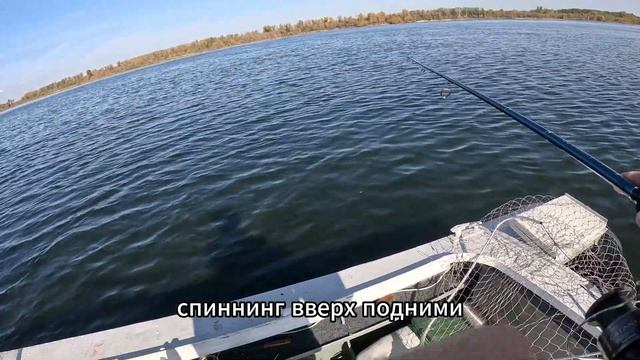 Рыбалка на Волге 2023|Ловля жереха на котле| смотреть онлайн