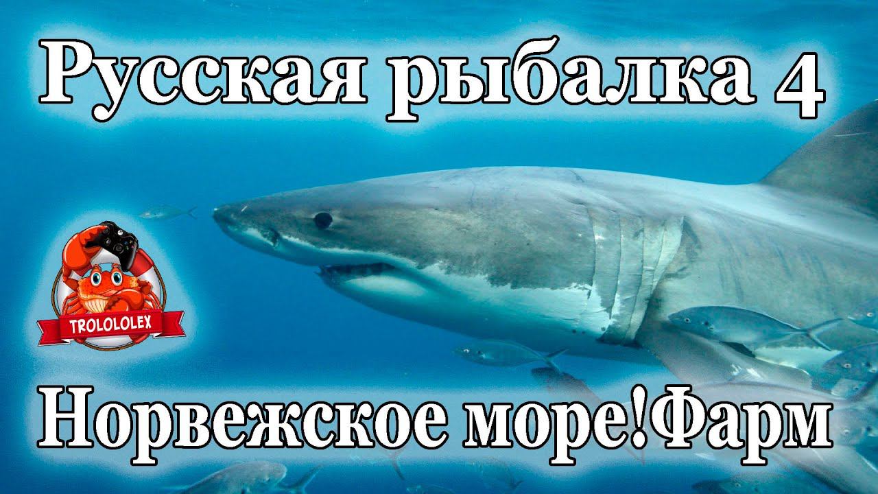 Русская рыбалка 4 Норвежское море фарм смотреть онлайн