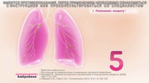 Амбробене – 5 действий против кашля!