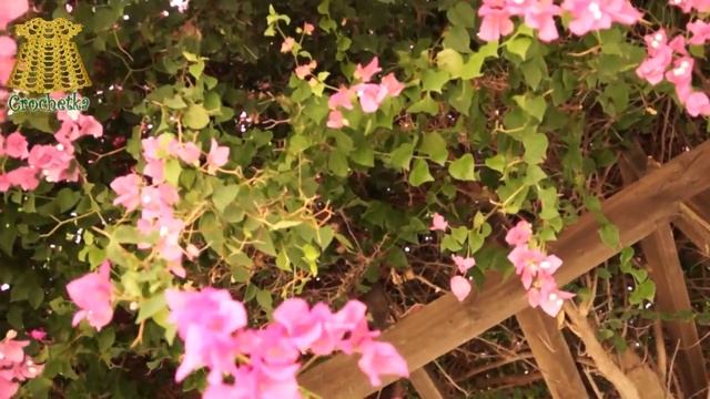 Летний марафон на YouTube ✿►Дачные коврики на Кипре◄✿ 3-й этап. Дачная жизнь. Вяжем из футболок смотреть онлайн