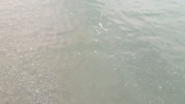 Мы в Турции / май 2019 / адалия элит Лара смотреть онлайн