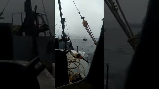 Виды Охотского моря смотреть онлайн