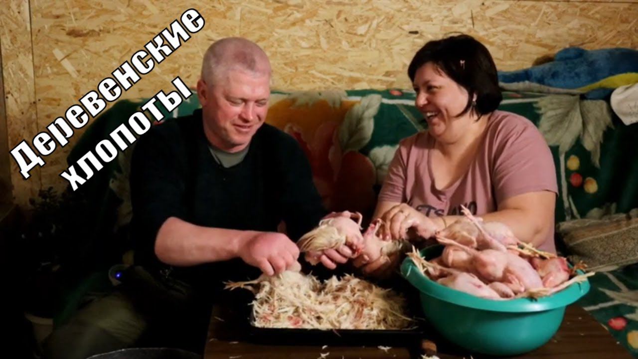 Трепаем перепёлок на копчение Дела житейские в деревне смотреть онлайн
