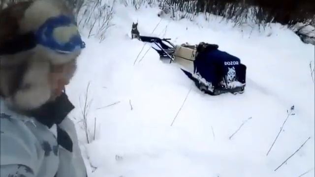 Забрался на мотобуксировщике в глубокий снег смотреть онлайн