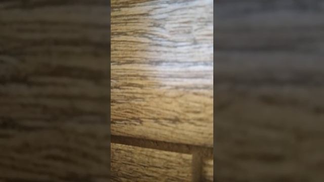 Коллектор не убедил и анекдот не рассказал. смотреть онлайн