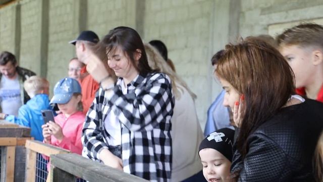 Тур по маршруту "Страусиная ферма - Аквапарк" смотреть онлайн