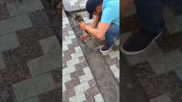 Гранитная брусчатка смотреть онлайн