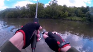 Ловля Голавля весной спиннингом на воблеры Jackall Chubby.