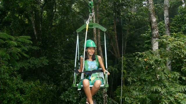 sbma tree top adventure смотреть онлайн