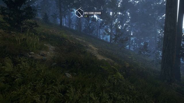 Rare Turkey - Te Awaroa National Park - theHunter Call Of The Wild смотреть онлайн