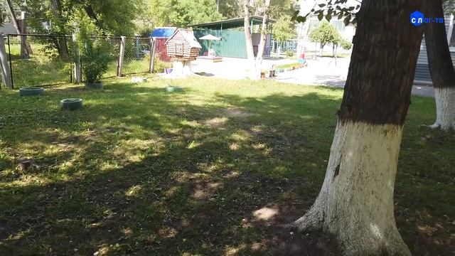 ДЕТСКИЕ САДЫ В СТАДИИ ПОДГОТОВКИ смотреть онлайн