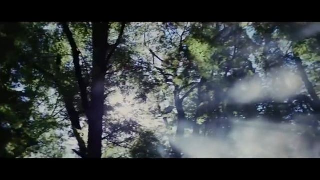 2019 Subaru Forester Unveiling & Review смотреть онлайн