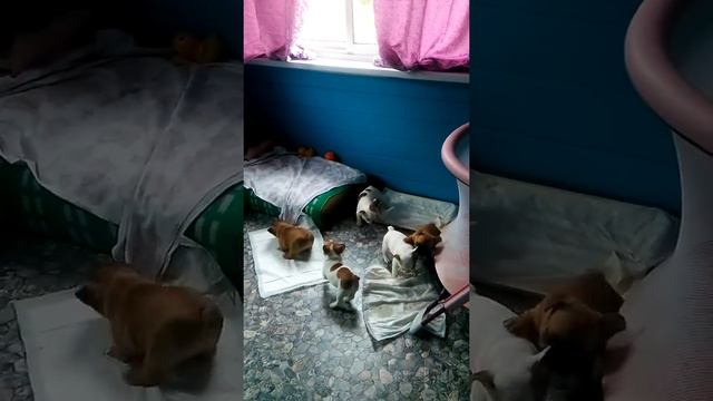 Мое любимое видео смотреть онлайн