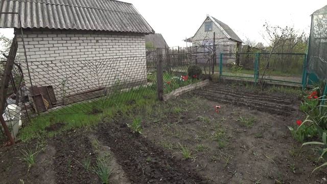 Строительные Сюжеты