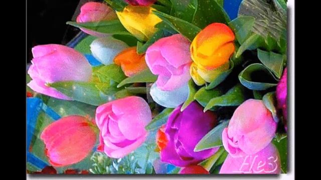 Взаимная Любовь Волшебный Дар Природы! смотреть онлайн