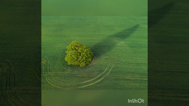 медитация прощение смотреть онлайн