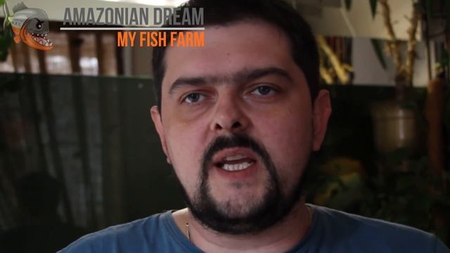 Четыре часа без электричества или хоровод возле аквариума смотреть онлайн