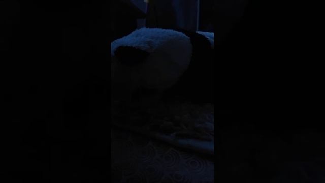 страшная история ночью. под кроватью!😱@husky_barty смотреть онлайн