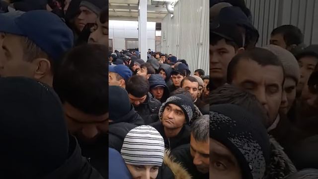 Патент олиш пад масква смотреть онлайн