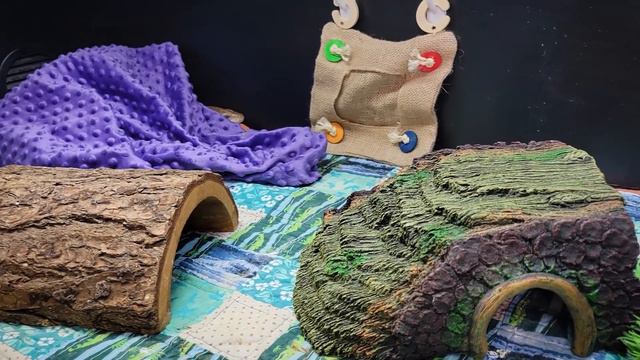 Blueberry's Special New Home смотреть онлайн