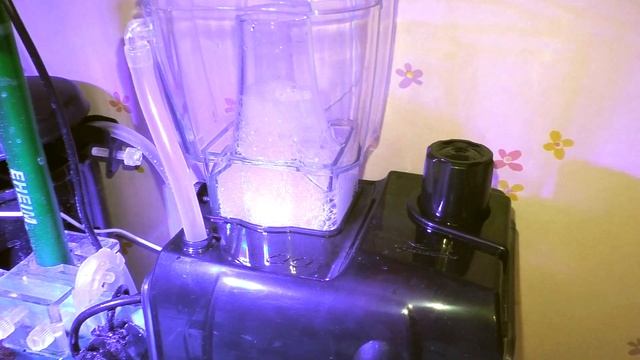 Часть 17 Установка скиммера в морском аквариуме смотреть онлайн