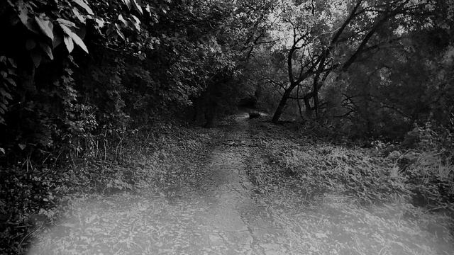 Страшные истории на ночь. Гнилью воняет! Страшилки смотреть онлайн