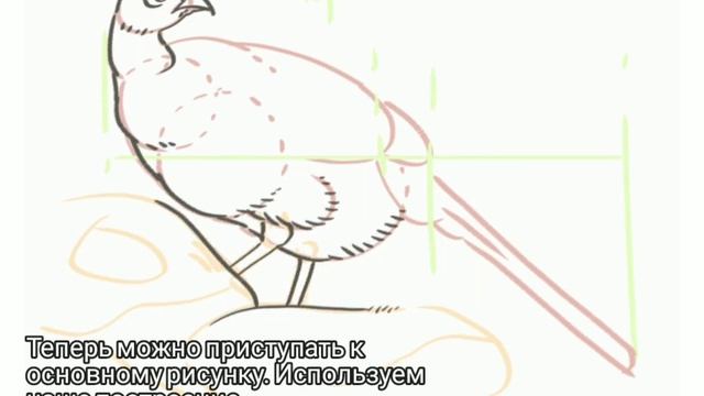 Как рисовать птицу (самка фазана) смотреть онлайн