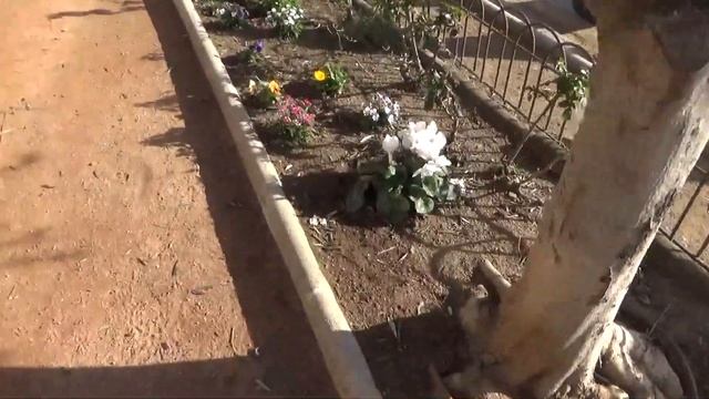 Цветочный Влог .Что с каруселью Кристофа смотреть онлайн