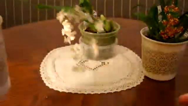 ОНЦИДИУМЫ. ЦВЕТУЩИЕ и ВЫЖИВШИЕ смотреть онлайн