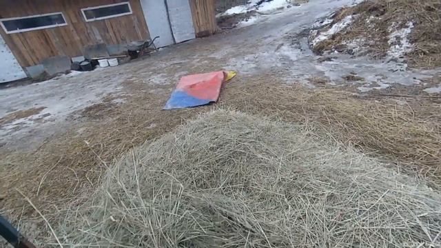 Обзор измельчителя сено, нужная вещь в хозяйстве смотреть онлайн