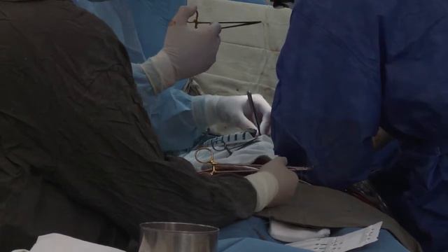 "Сердце" 40 лет спустя" смотреть онлайн